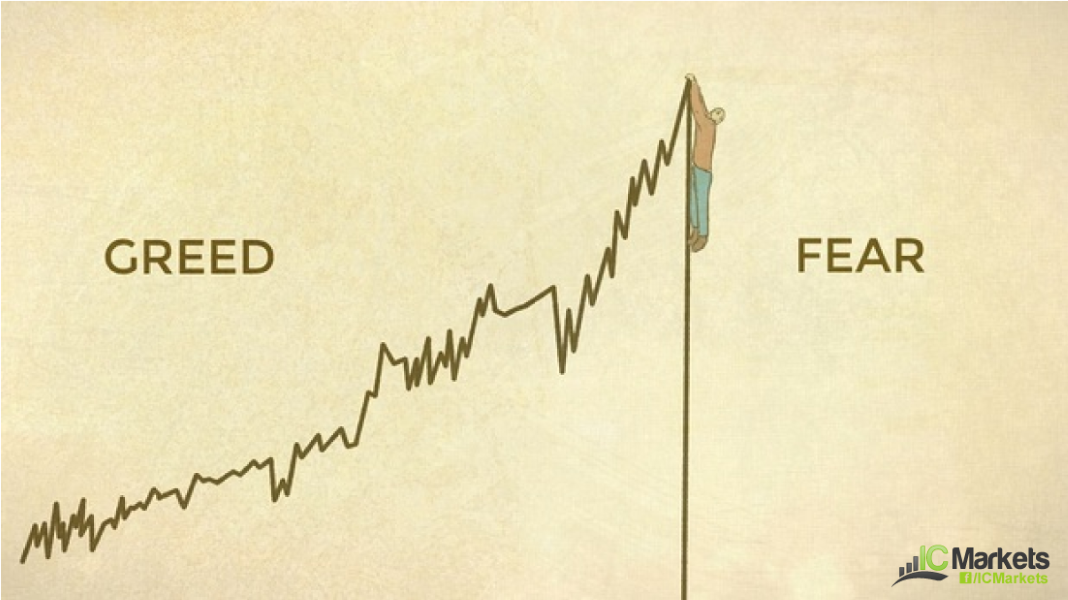 The Life Cycle of Greed and Fear